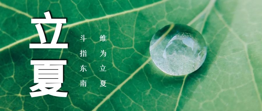 立夏 ▏綠蔭濃，夏日長