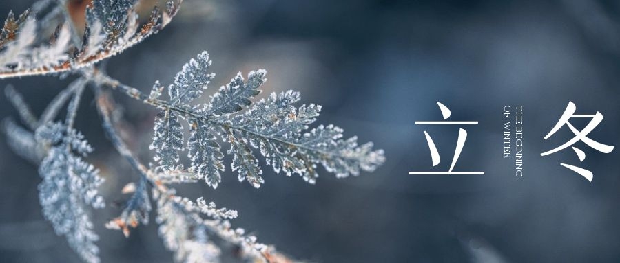 立冬 ▎朔風(fēng)始起，萬(wàn)物境藏