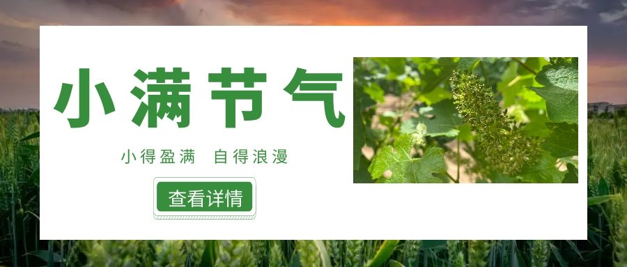 小滿 ▎小得盈滿，自得浪漫~