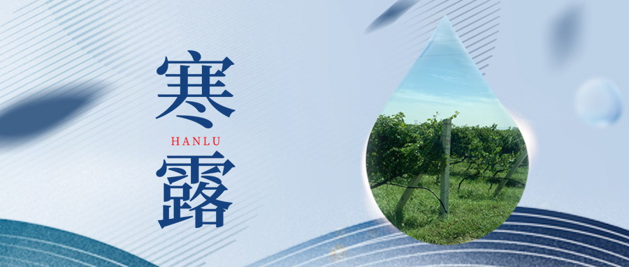 寒露丨夜露凝寒，萬物皆秋