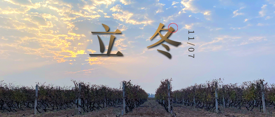 立冬 ▎四時有序，天地歸藏
