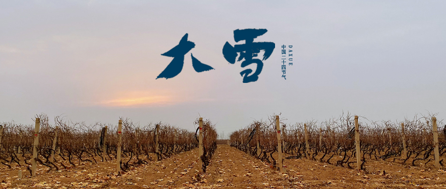 大雪 ▎世界留白，天地靜美
