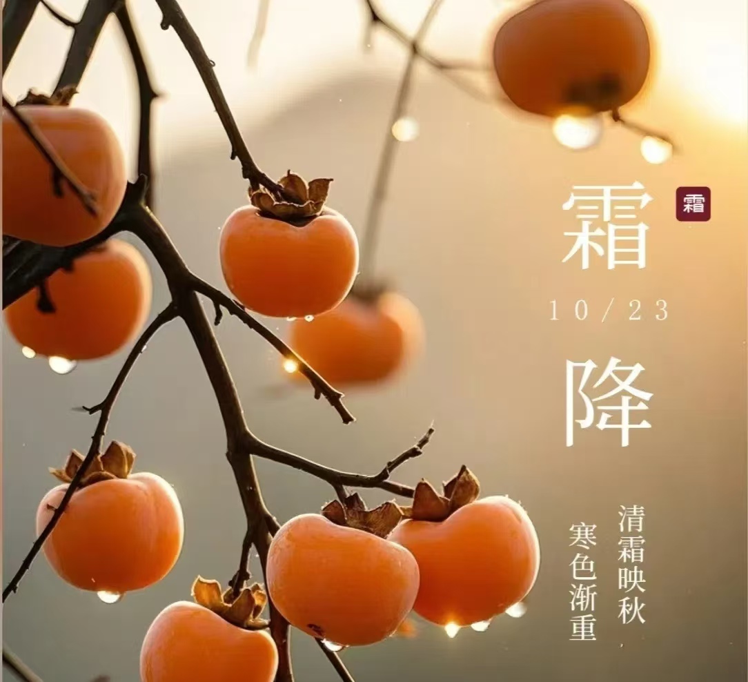 霜降||人間至此秋色盡，草木搖落露為霜